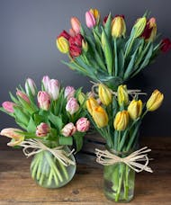It Takes Tulips