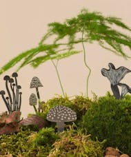 Mini Mushroom - Plant/Terrarium Decor