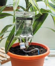 PLANT LIFE SUPPORT - Houseplant Watering Device