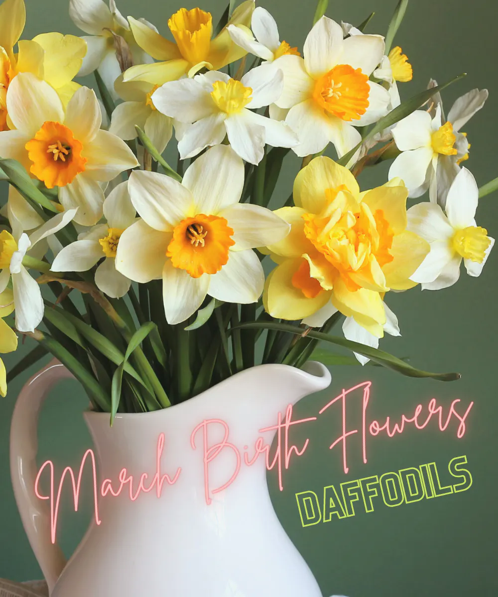 WildFlower Stem + Sundry Birth Month Blooms