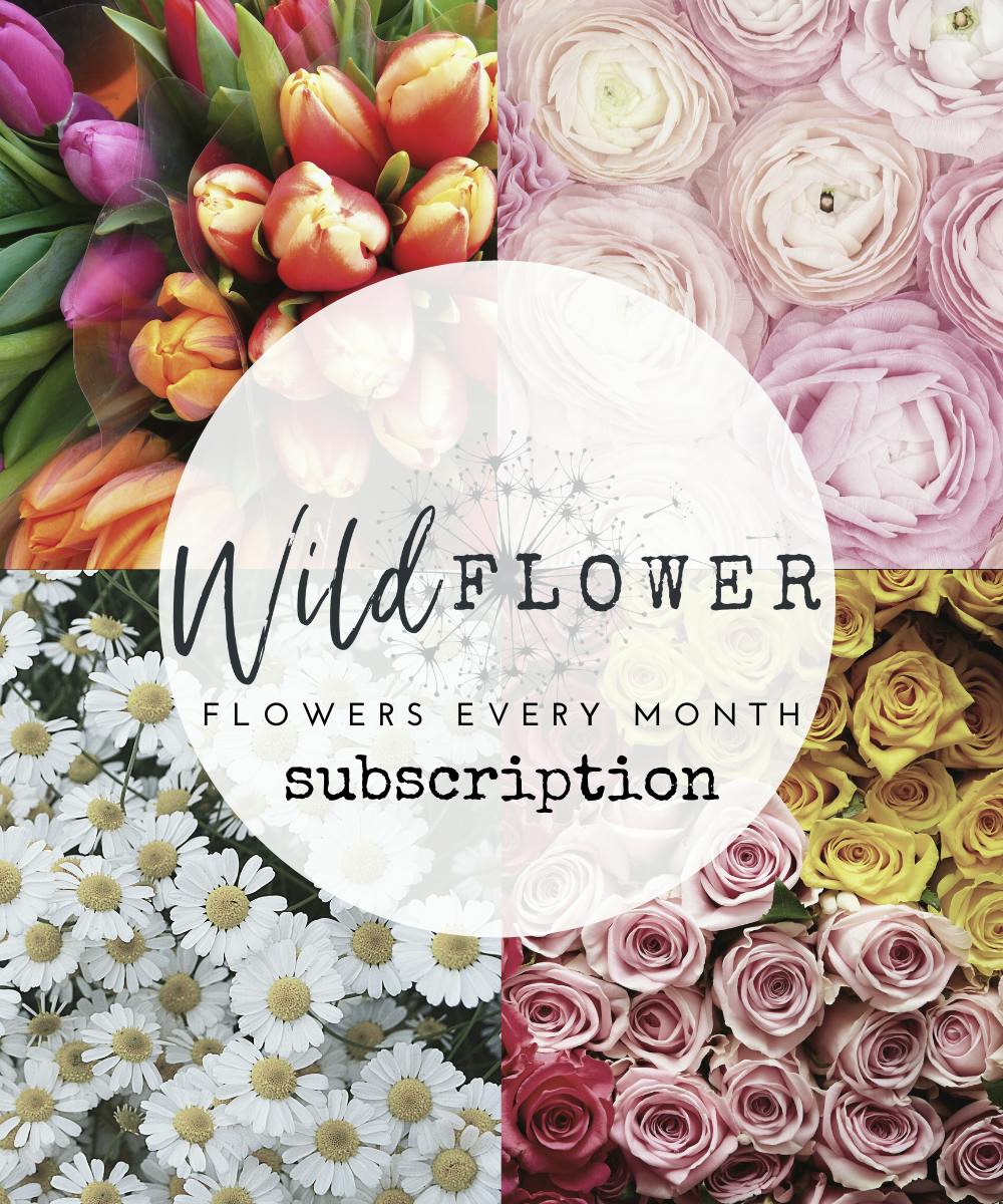 Floral Delivery Subscriptions Send Flowers ThroughOut The Year (MD