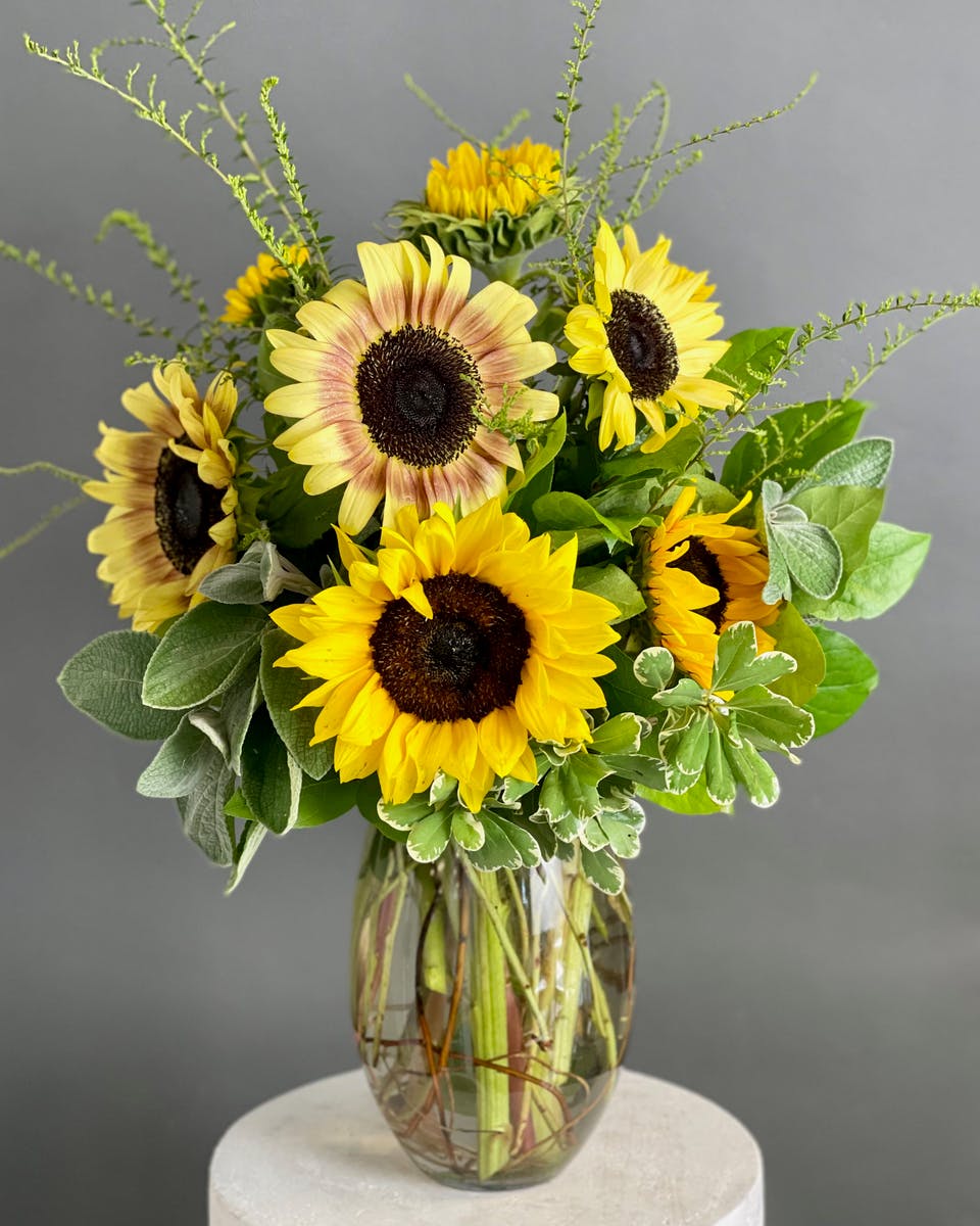 Sunny Sunflowers Delivery Arnold (MD) WildFlower