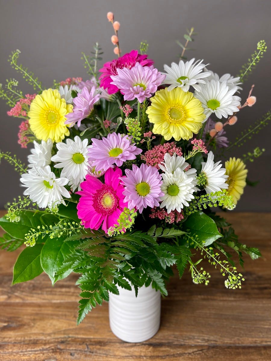 Daisy Haze Baltimore Annapolis (MD) Flower Delivery WildFlower