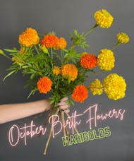 Birth Month Blooms - October