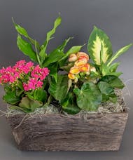 Blooming Garden Box