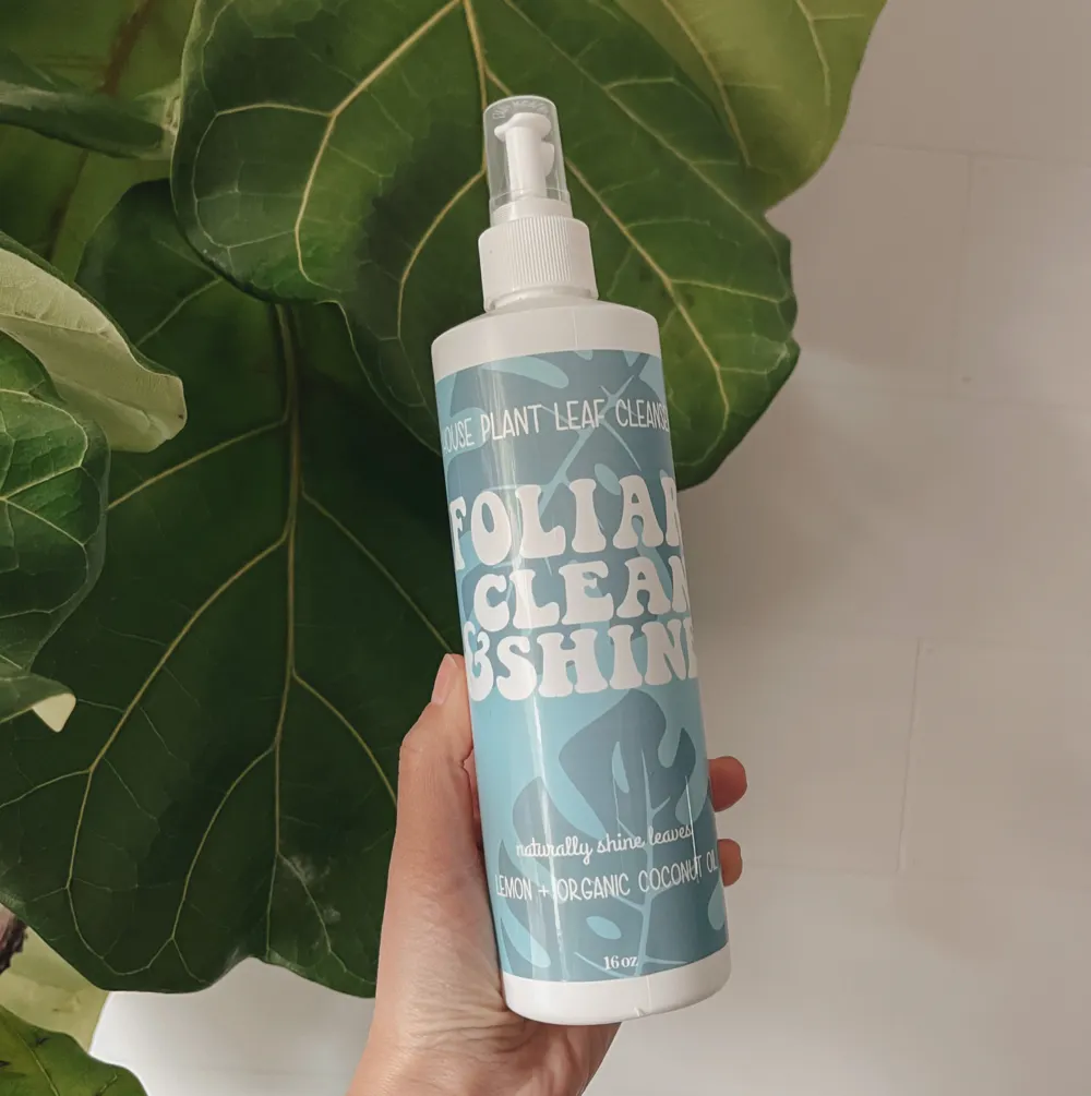 FOLIAR Clean & Shine House Plant Leaf Cleanser