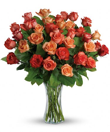 Sunset Roses Arnold Md Rose Delivery Wildflower