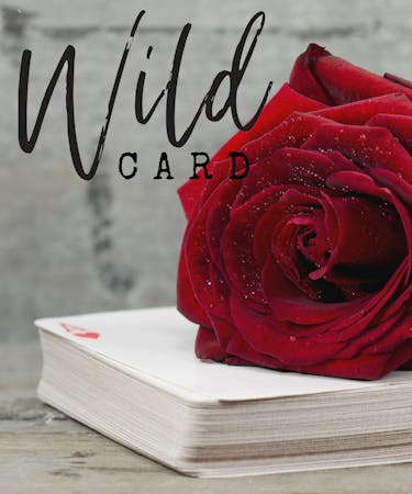 Wild Card - Designer's Mix