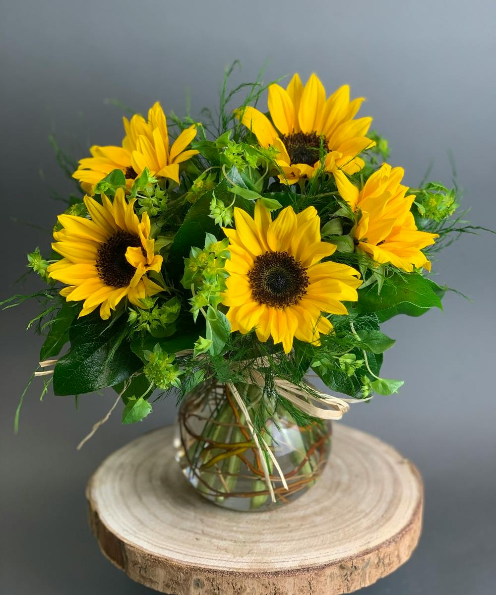 Sunny Sunflowers Delivery Arnold (MD) WildFlower