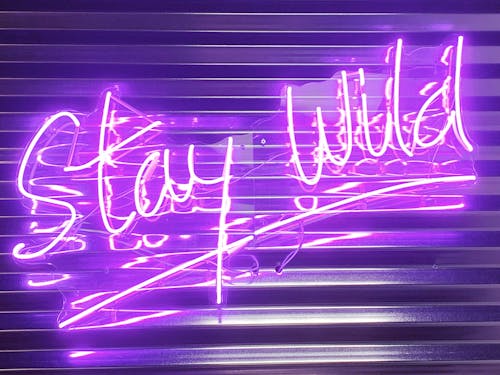 Stay Wild, encourages a neon sign inside our floral design studio
