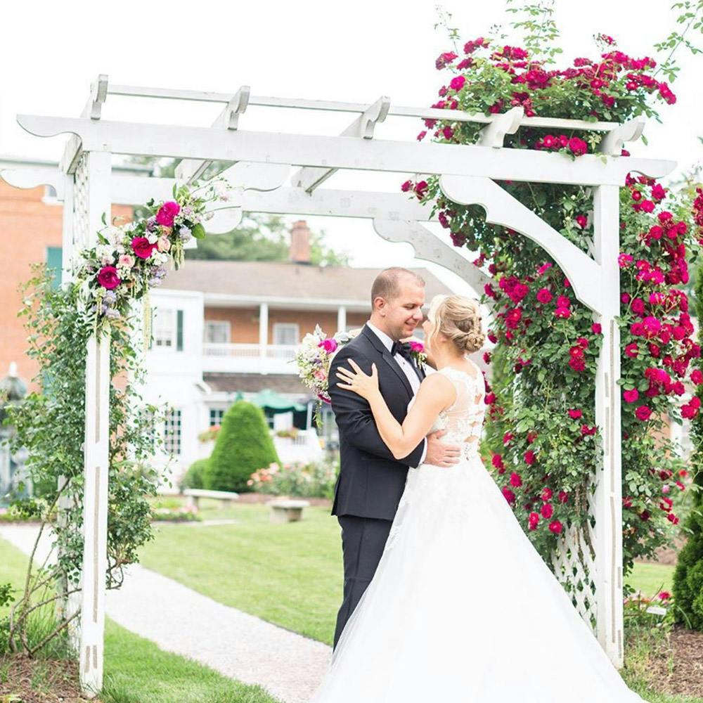 Annapolis MD Flower Delivery WildFlower Stem + Sundry