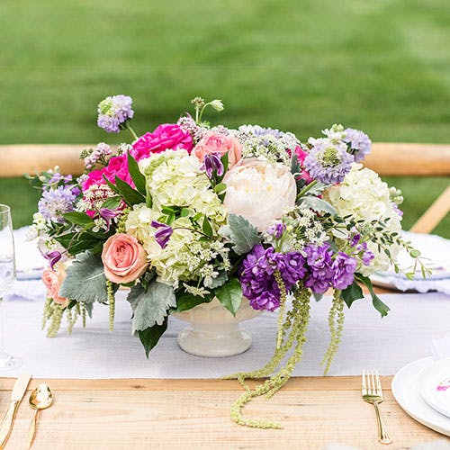 Annapolis MD Flower Delivery WildFlower Stem + Sundry